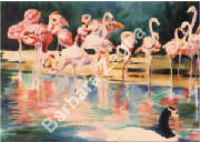 flamingolake.jpg